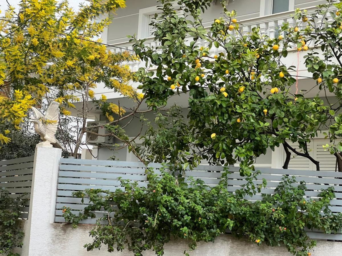 Apartments & Studios Ardian-Mandi Sarande-Albania 외부 사진
