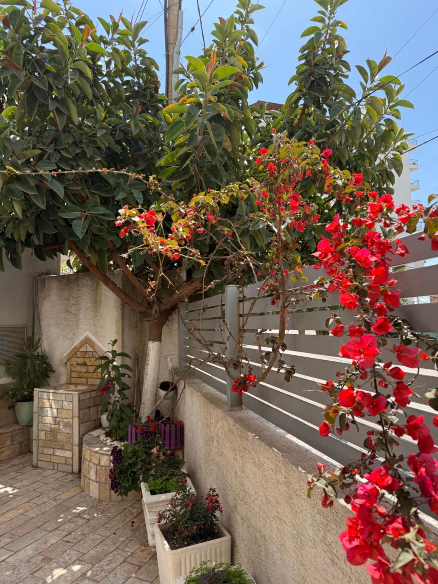Apartments & Studios Ardian-Mandi Sarande-Albania 외부 사진