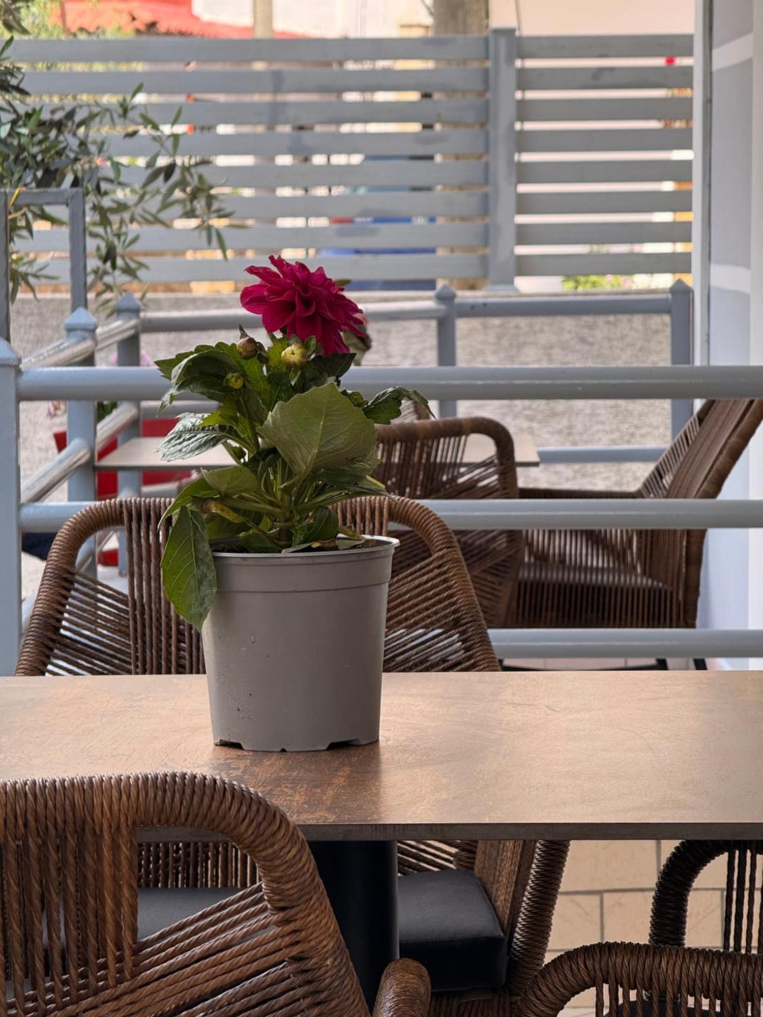 Apartments & Studios Ardian-Mandi Sarande-Albania 외부 사진